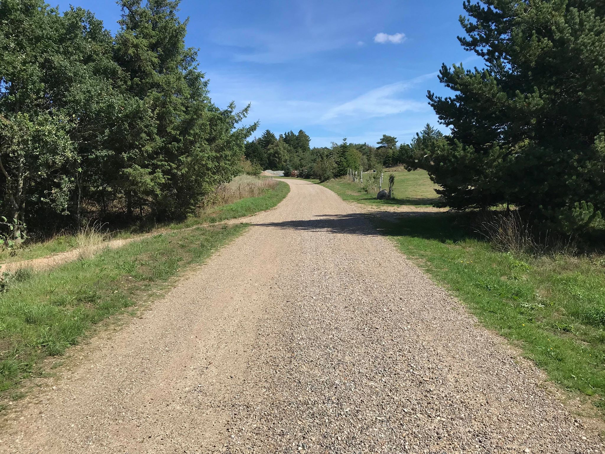 Skive Flyndersø Camping — photo 7